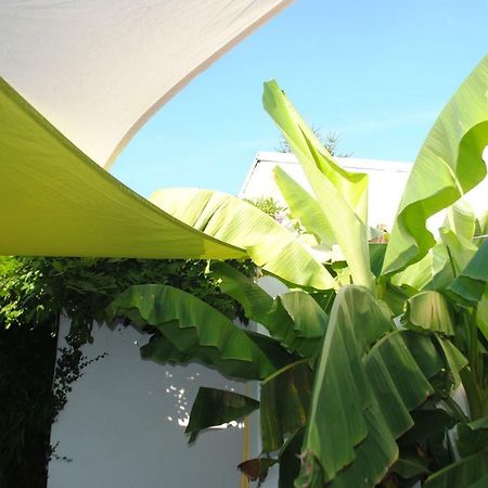 Chambres D'Hotes La Tribu Quévreville-la-Poterie Exteriér fotografie