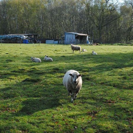 Chambres D'Hotes La Tribu Quévreville-la-Poterie Exteriér fotografie