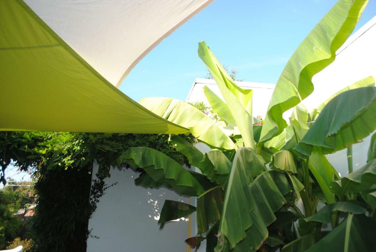 Chambres D'Hotes La Tribu Quévreville-la-Poterie Exteriér fotografie